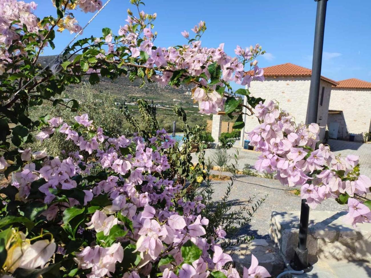 Apartament Gregory'S Farm Levkákia Zewnętrze zdjęcie